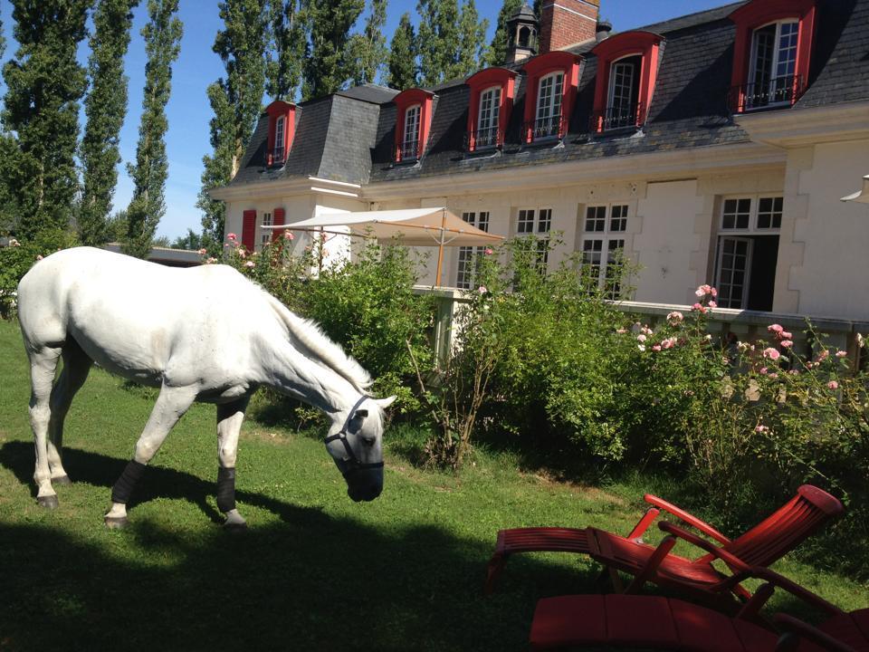 Le Domaine De Barbizon Hotel Saint-Martin-en-Bière Kültér fotó